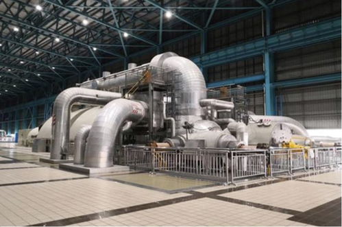 上海这五年 技术驱动下的生态新貌与垃圾分类新风尚